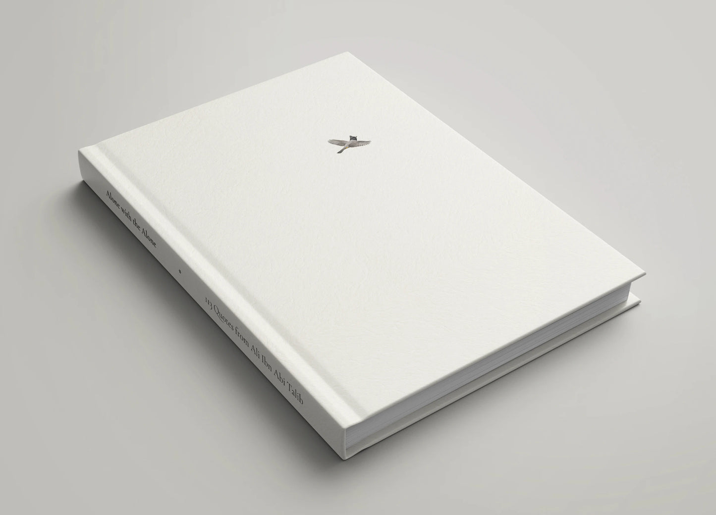 Book (Preorder, Ships October 2026)