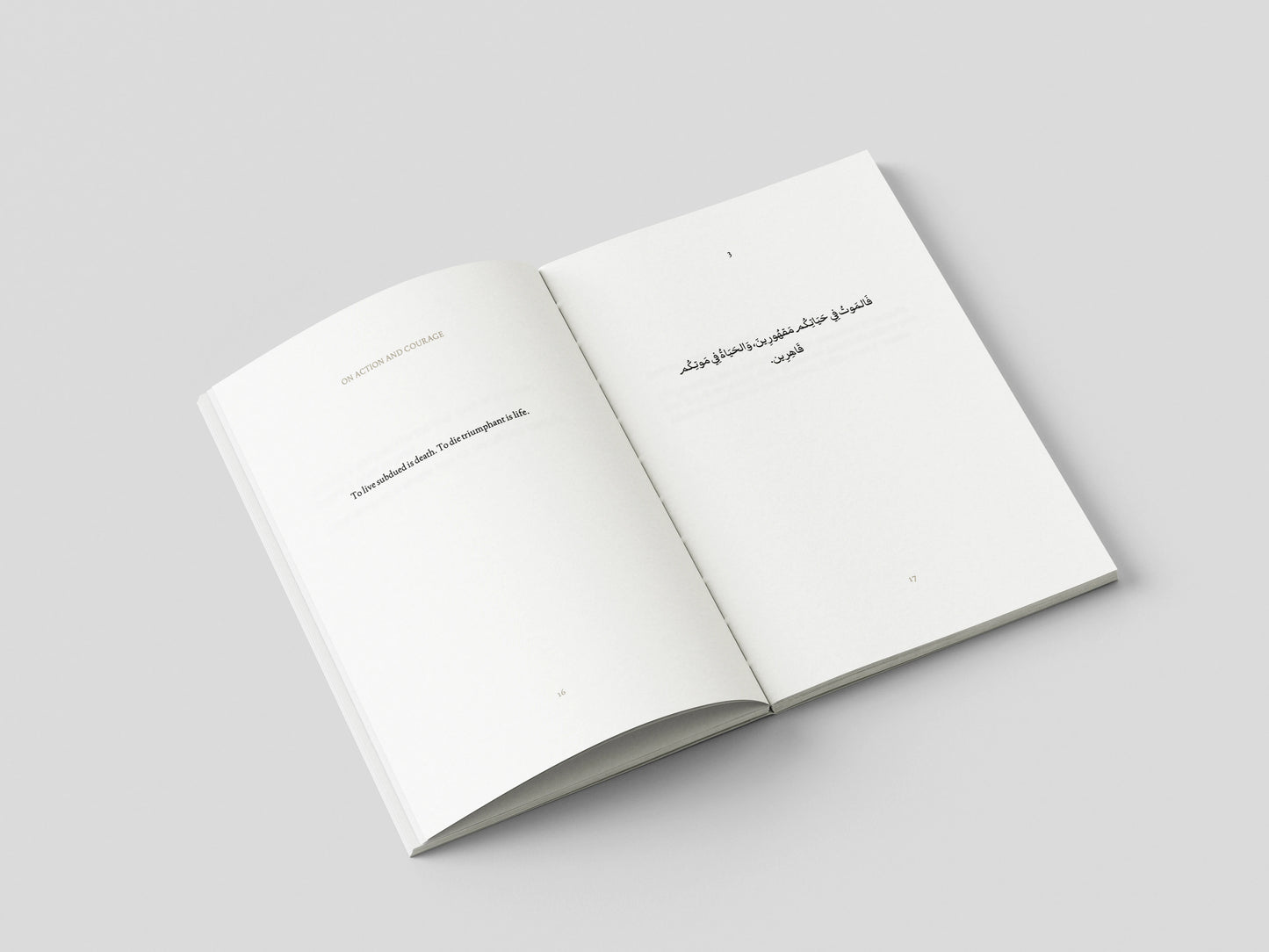 Book (Preorder, Ships October 2026)