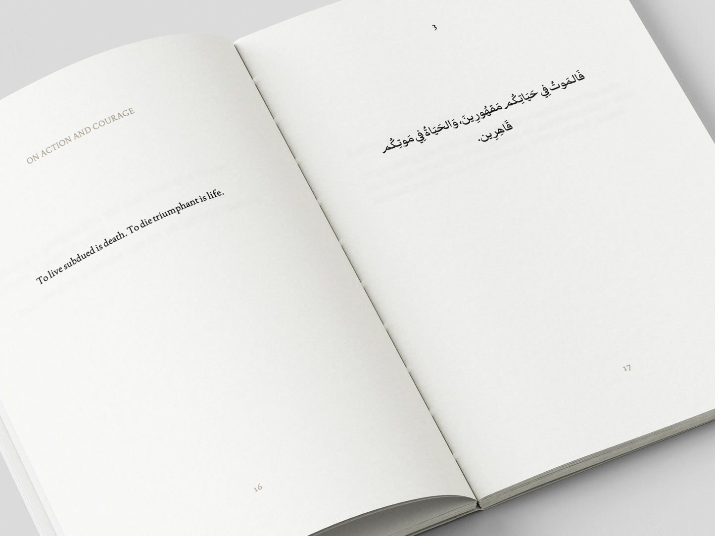 Book (Preorder, Ships October 2026)
